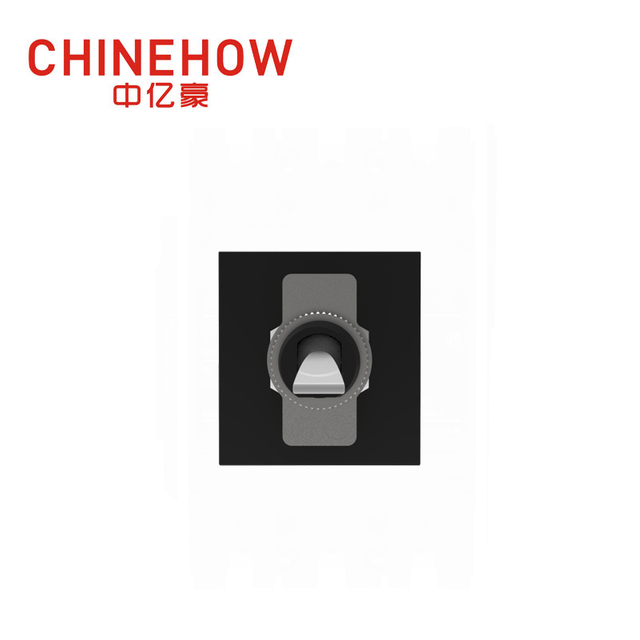 CVP-SM Hudraulic Magnetic Circuit Breaker Paddle Actuator with M4 Screw Bus 2P Black